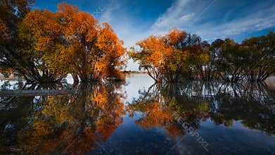 The Scene of the Autumn of Lake Tekapo