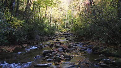 Flying up Tree Lined South Carolina River 4K