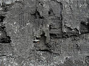 Hi-resolution grunge wood texture image