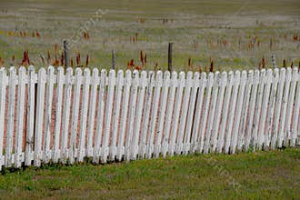White picket decorative fence marking the borders of a field