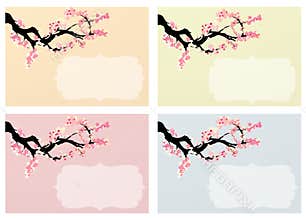 Cherry blossom background