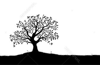 Tree Silhouette, Black and White Vector Shape