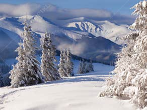 Beautiful winter landscape