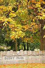 Autumn in Bushy Park. Dublin. Ireland