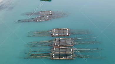 Aerial View: Shrimp Pond on the Beach