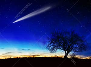 Starry Night