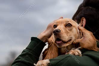A man holds a cocker spaniel puppy in his arms and strokes his head. A brunette man stands on the street hugging his dog