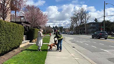 On the street people walking with dogs two dogs decided to meet each other jumping pulling out leash from owner man and