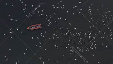 Aerial video of people feeding birds on a fishing boat along the Yamuna river in New Delhi, India.