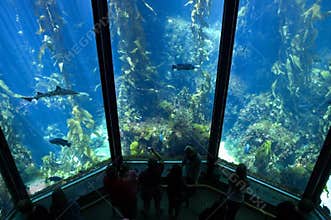 Aquarium