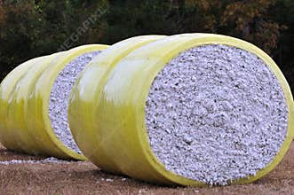 Cotton Bales