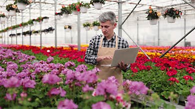 Gardener Inspecting Flowers in Greenhouse