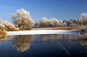 Winter landscape