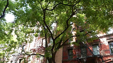 New York City building architecture, Manhattan. Residential house exterior. Red brick, fire escape.