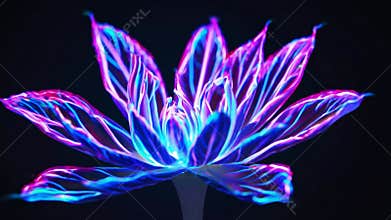 Neon light is outlining the contours of a beautiful lotus flower with blue and pink colors, creating a mesmerizing spectacle