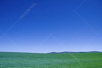Blue sky green crops