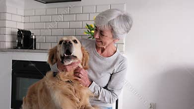 Attractive Senior Grey-Haired Woman Plying And Hugging Her Pet - Adorable Golden Retriever Dog