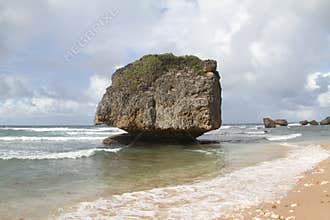 Bathsheba Beach rock - Barbados