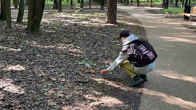 Person crouching in forest feeding small squirrel by a pathway