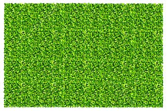 Green grass field background. Texture of green lawn grass. Green grass seamless texture