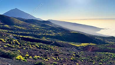 The Stunning View of Mount Teide and Lush, Vibrant Landscapes is Truly Unforgettable