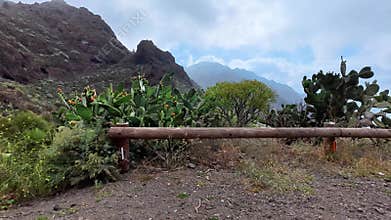 A breathtaking scenic mountain landscape featuring vibrant cacti and a rustic wooden fence