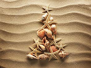 Sea shell on sand