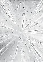 Abstract black and white background