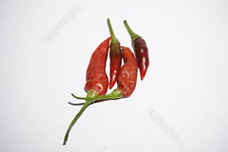 fresh chilies on white paper