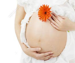 Pregnant belly, pregnancy woman stomach with flower