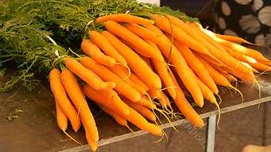 Organic Carrots in Bulk for Sale