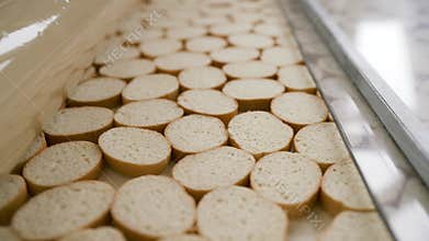 Round sliced bread moving on conveyor belt in food processing plant