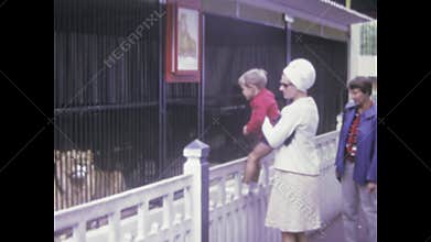 Family observing lions in a zoo cage