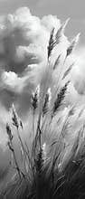 Wild Reeds Dance in Monochrome Light Against a Turbulent Sky