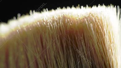 Extreme Macro Close-Up of Paintbrush Bristles: Texture, Detail, and Artistic Potential Revealed