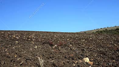 Agricultural tractor sowing seeds