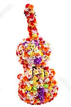 Flowers in the guitar shape