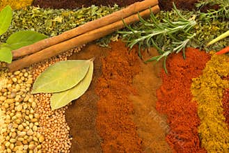 Spices and Herbs