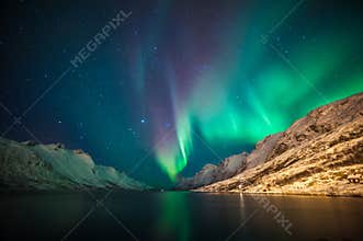Northern lights above fjords