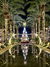 Christmas tree and palm trees reflected in a pond in a shopping mall in Scottsdale Arizona