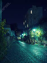 Night stroll in Paris street