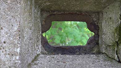 Concrete WWI Firing Port with Forest View in Blurred Background