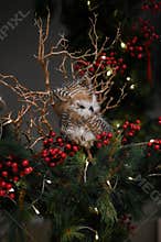 Chrismast decoration details with green leafy plants, gift boxes, and owl toy