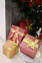 Chrismast decoration details with green leafy plants, and gift boxes