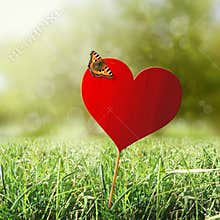 Heart with butterfly