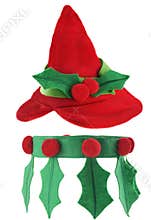 Elf outfit