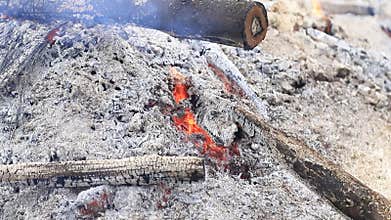 Burning wood slowly turning into embers and ashes