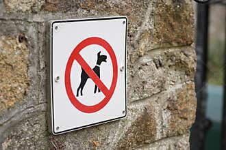 No dog