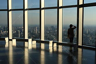 Skyscraper view