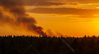 Forest Fire Burning at Sunset with Dramatic Smoke and Golden Sky Scene
